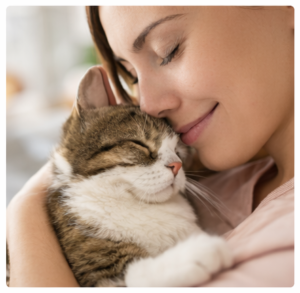 alternativas cuidado de gatos en lleida